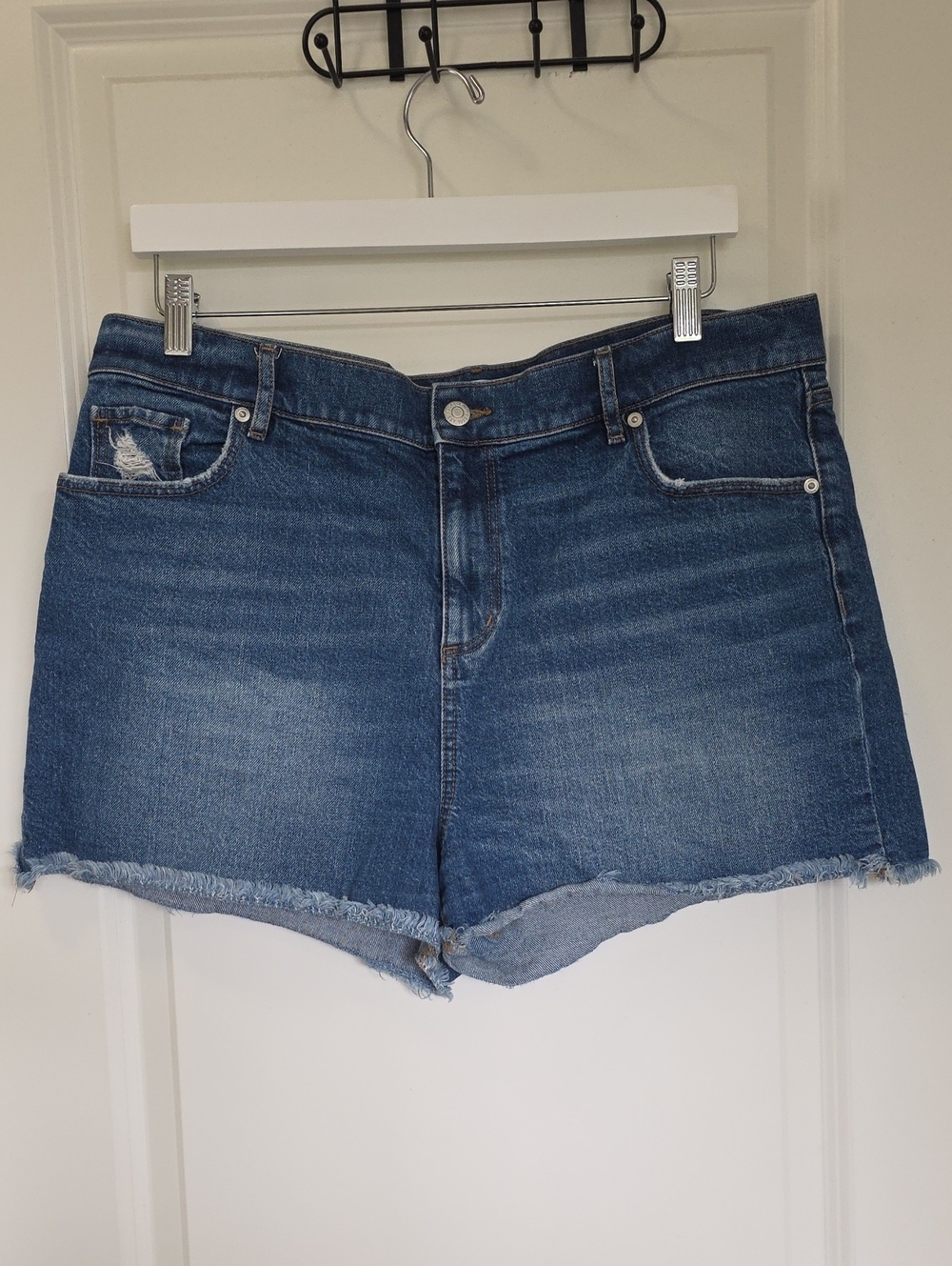LOFT Blue Frayed Hem Denim Shorts